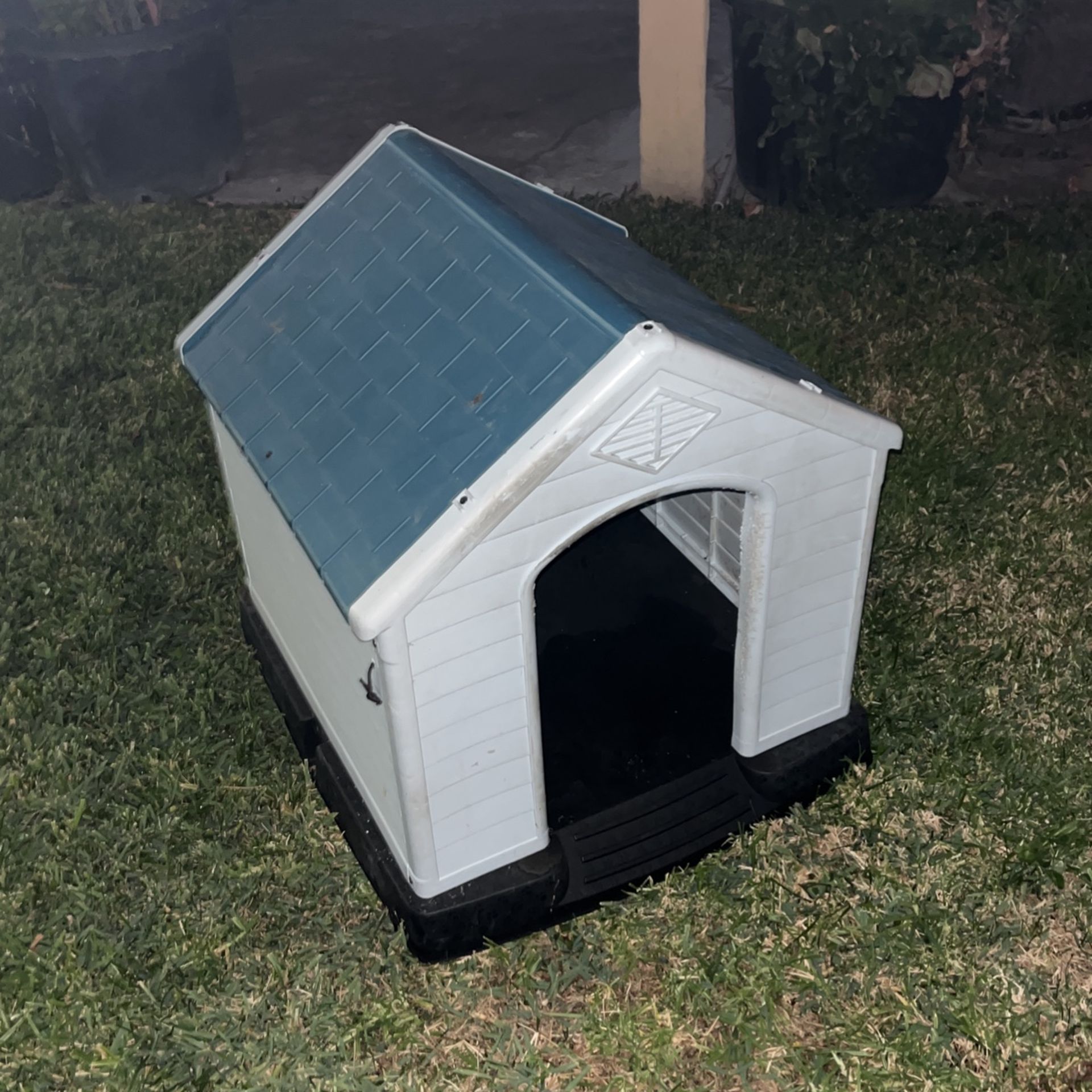 Dog House 