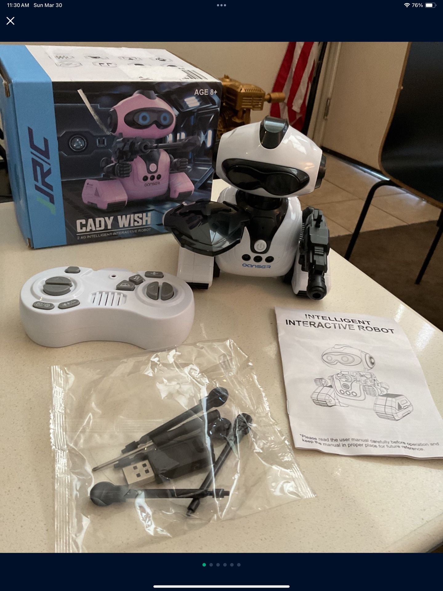 Cady Wish Robot 