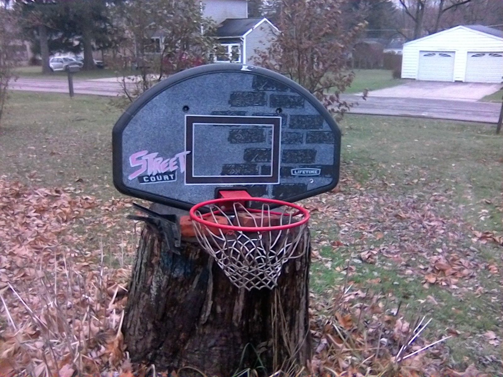 Basketball Hoop!