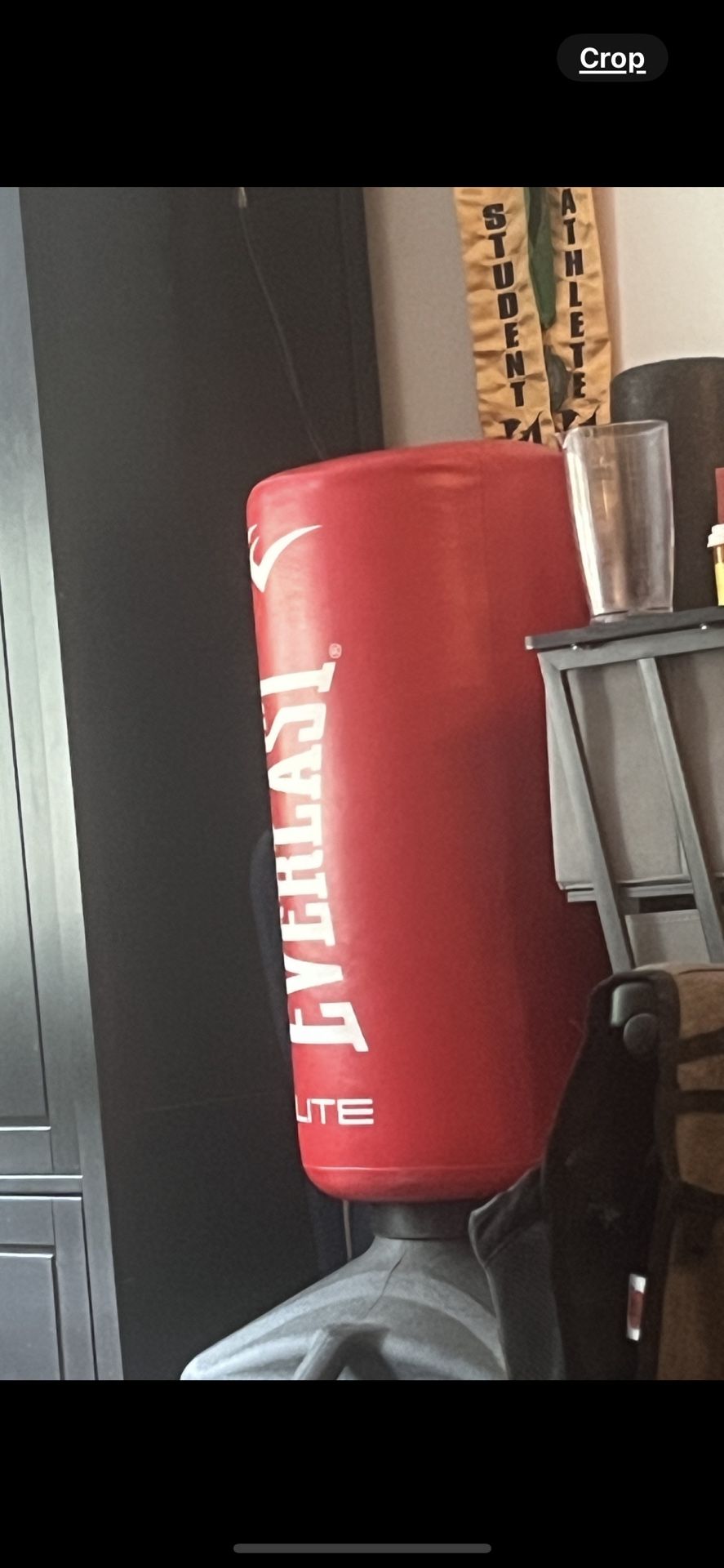 Everlast Weighted Sand Punching Bag