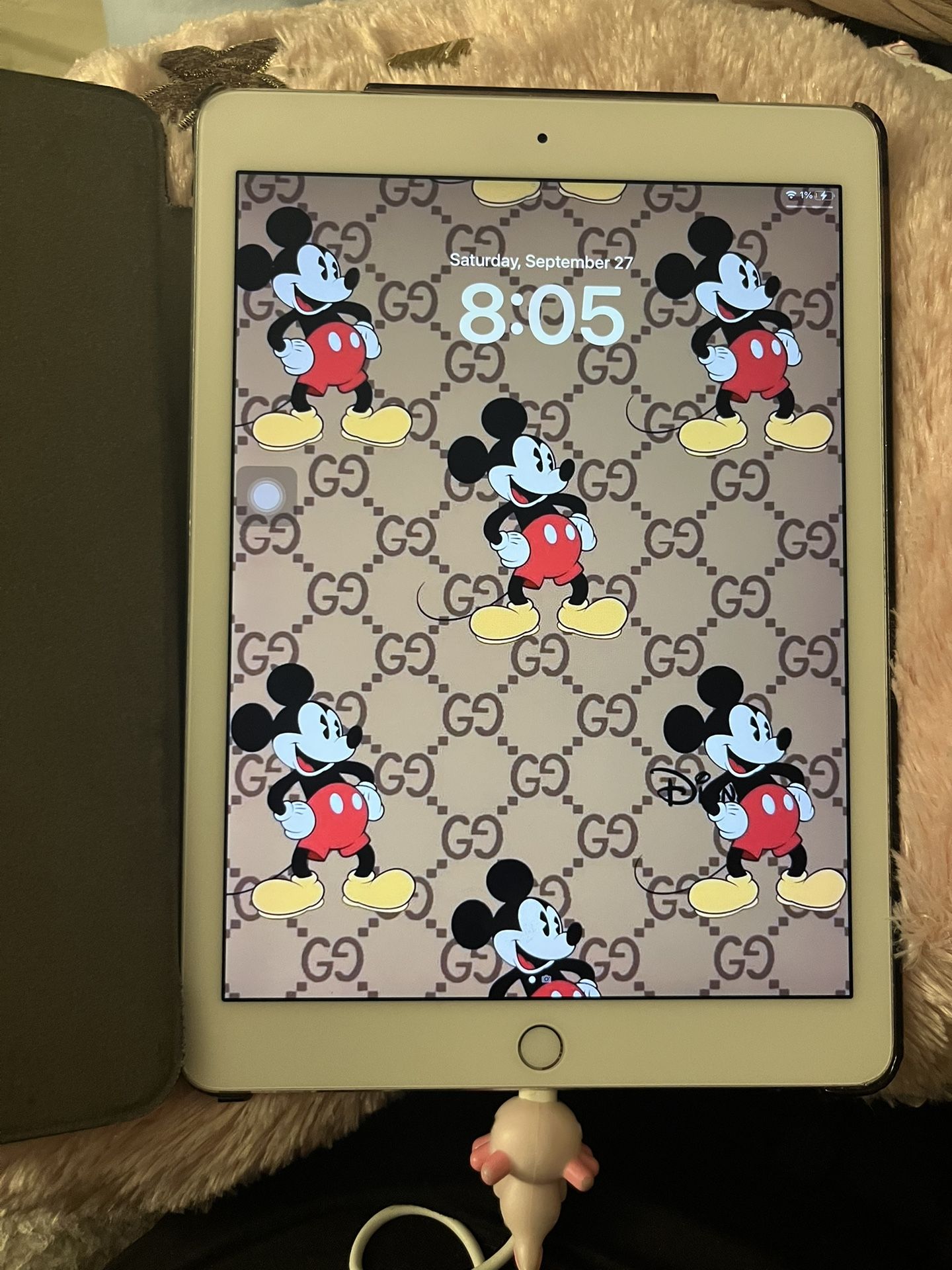 iPad Pro