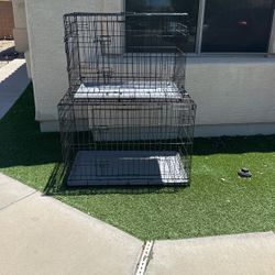 Dog Cages