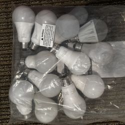 Bag Of Lightbulbs 