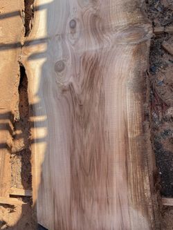 Live edge redwood slab