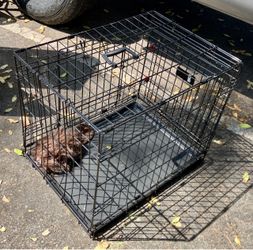 Dog/Cat Crate