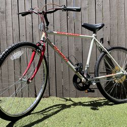 Magna Commuter Bike 