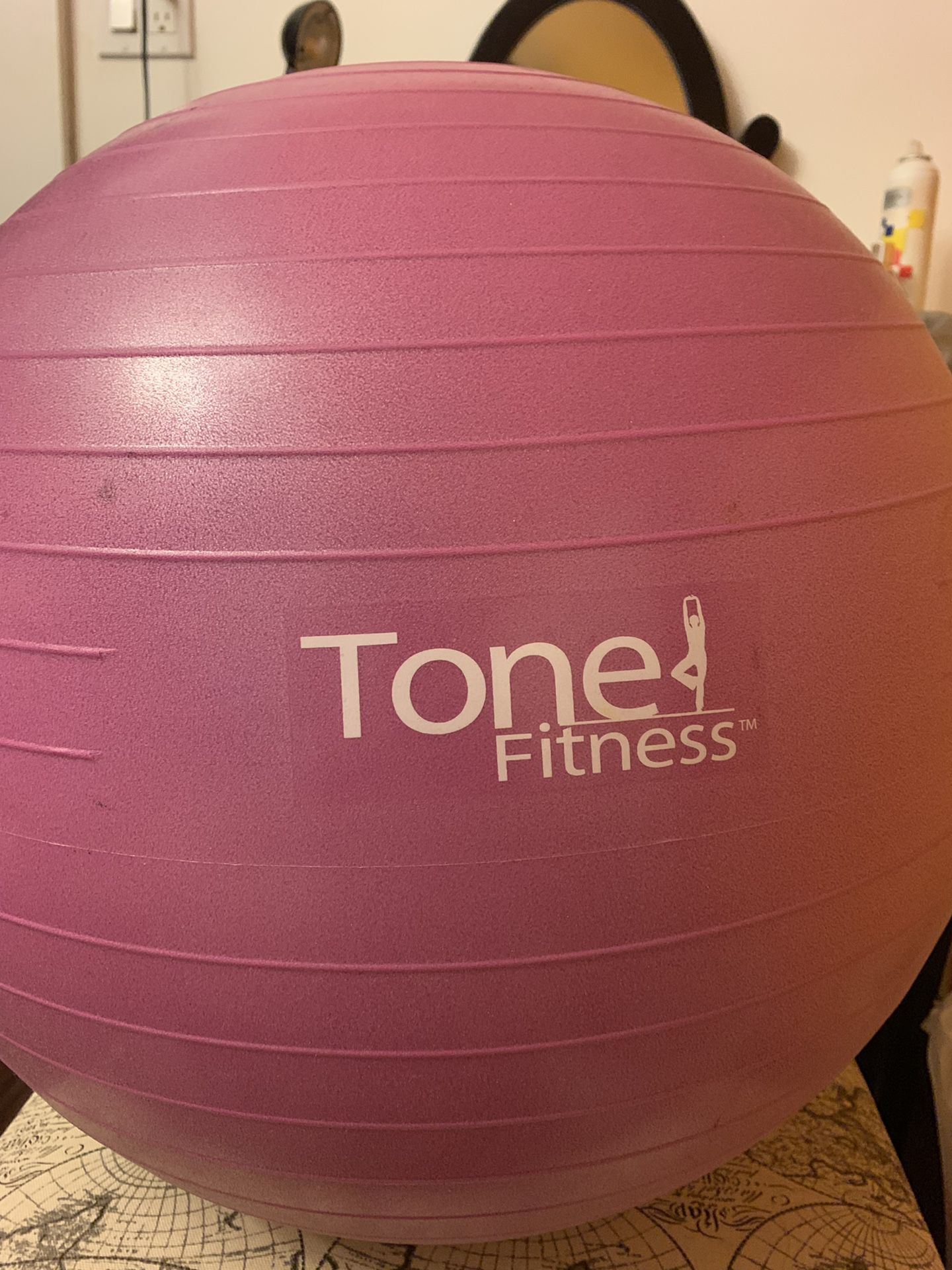 Tone fitness exercise ball with pump