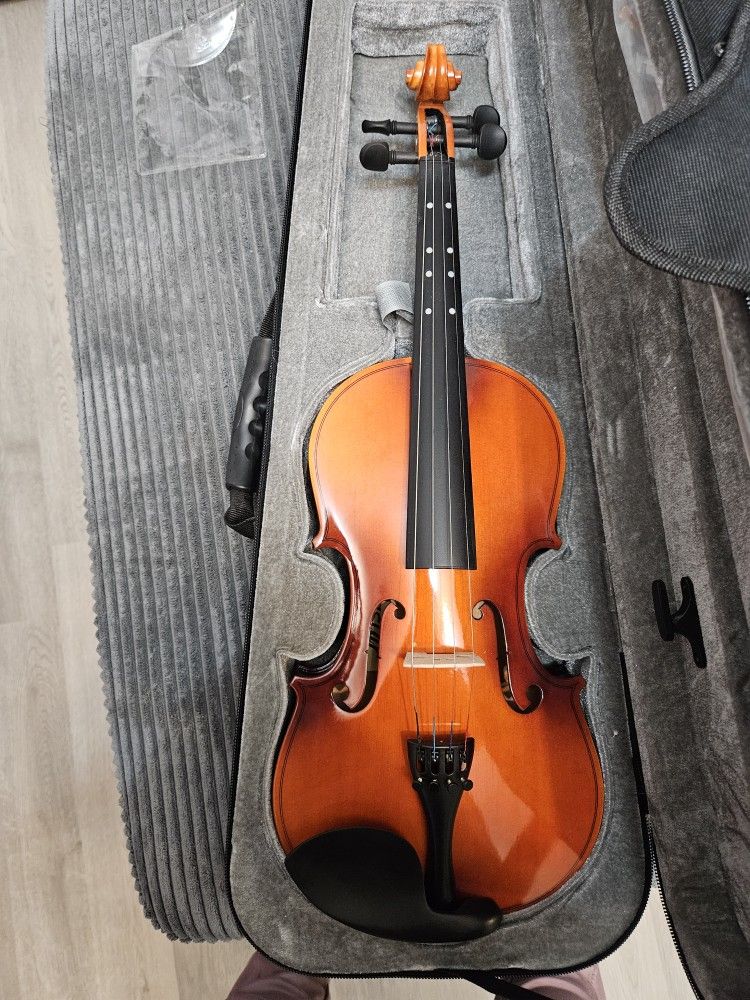 Easter 4/4 Violin For Beginners With Hard Case
