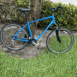 Giant Cypress L Frame 700 Wheel 