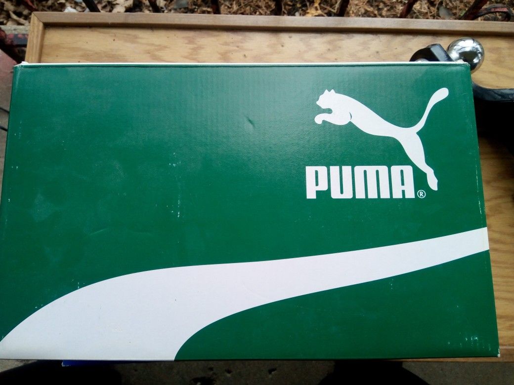 Pumas