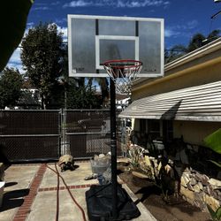 Basketball Hoop