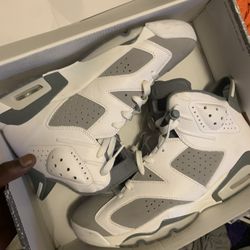 Cool Grey Retro Jordan 6s