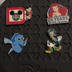 DISNEY WORLD Mystery Pins