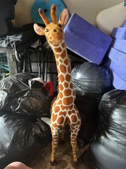 Long Giraffe 🦒