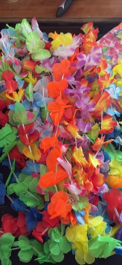 Leis