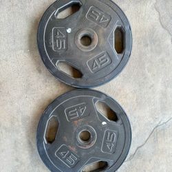 45 LB Weight Plates