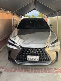 2023 Lexus NX350 AWD