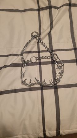 Dog Prong Collar
