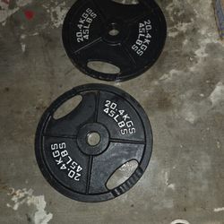 Classic Cast 45 Pound Iron Weight Plates 
