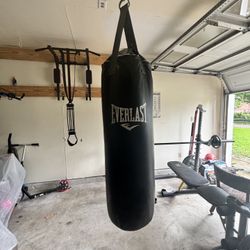 Everlast Punching Bag