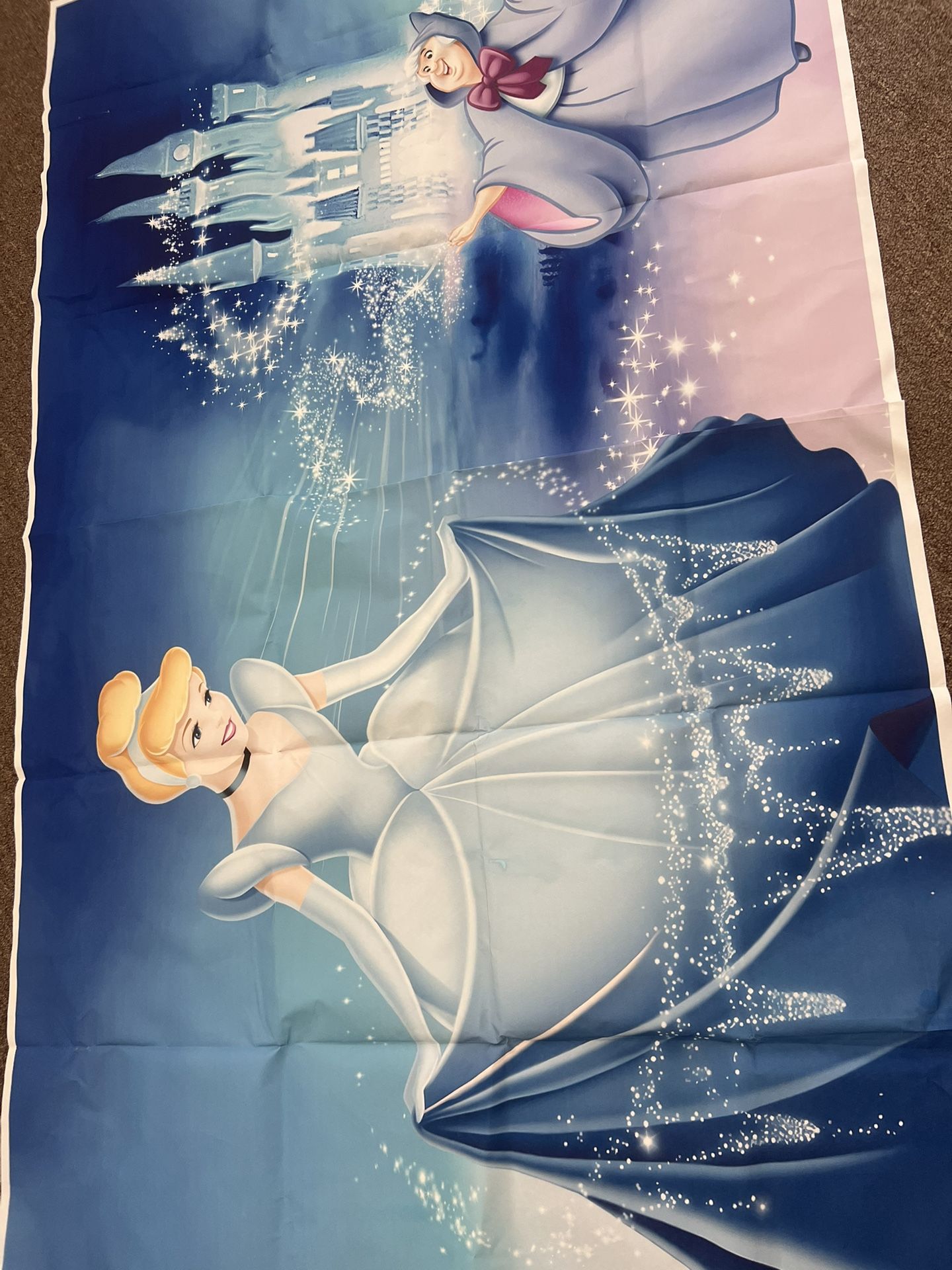 Cinderella Backdrop