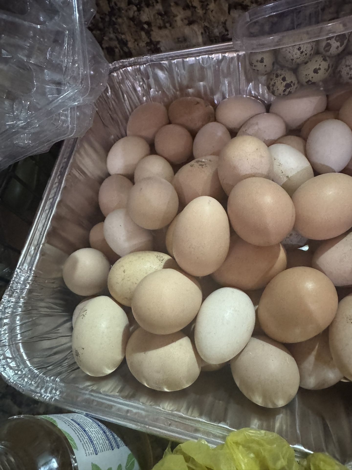 Fresh Organic Eggs