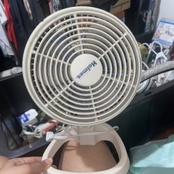 Little Fan