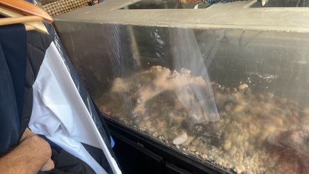 100 gallon fiberglass Fish tank(accessories included)