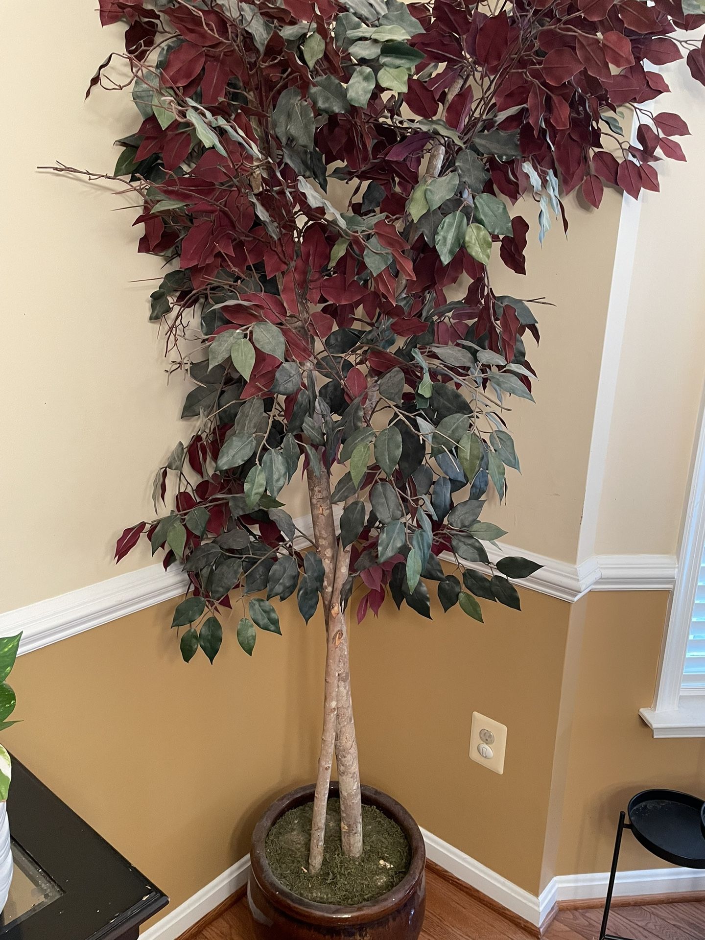  Plant Artificial Ficus