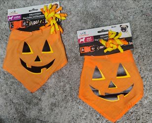 Halloween attire. Dog collar and bandana set