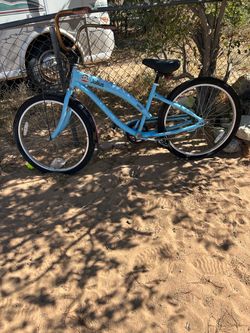 Beach cruiser bike bicycle Julius needs Tlc