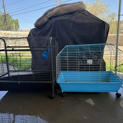 Medium & Large Enclosures For Guineas/rabbits ($45For Both) 