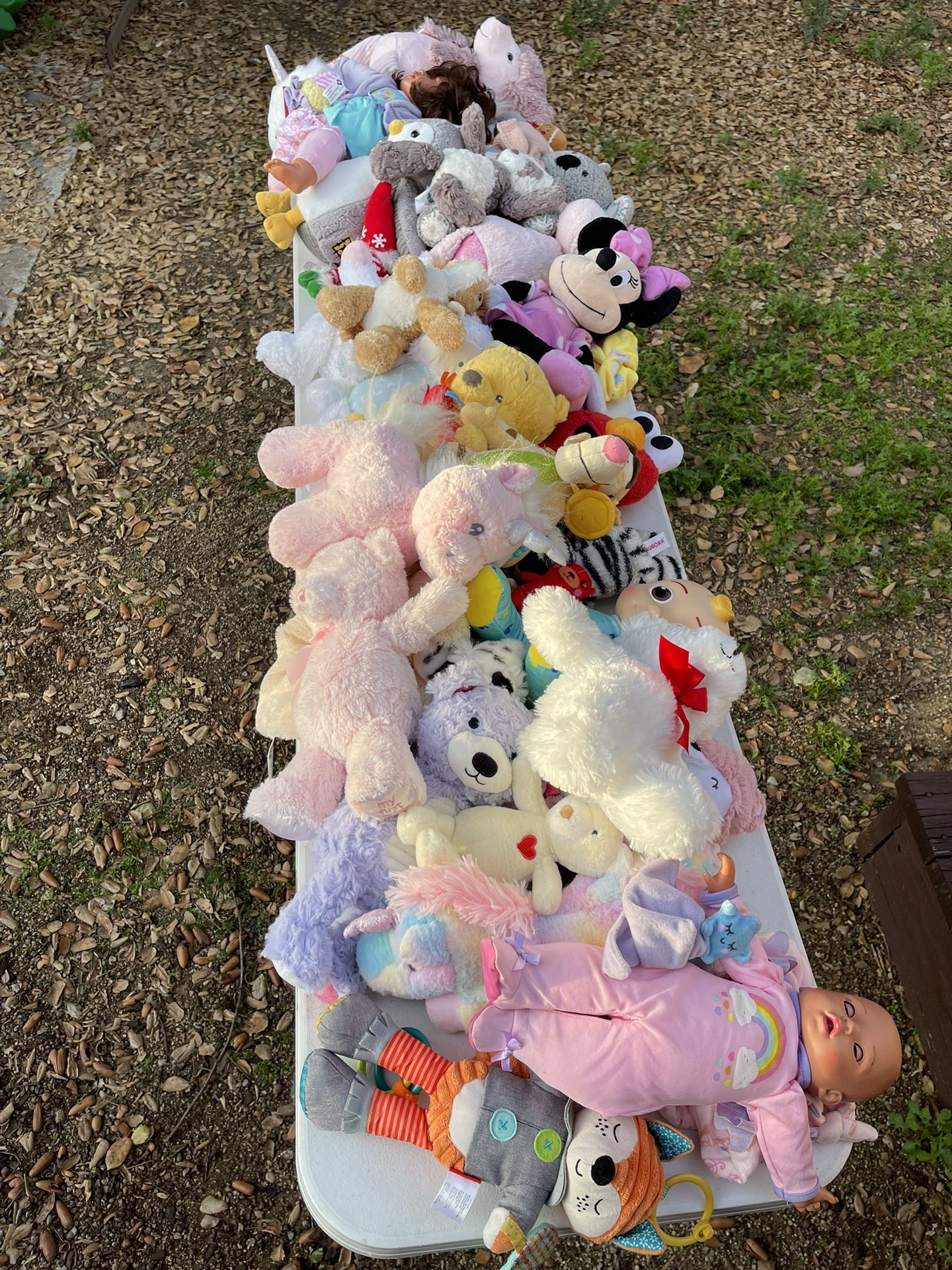 Lot Of 50+ Stuffed Animals And Toys