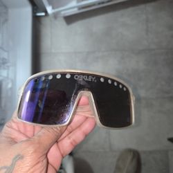 Oakley Glasses 