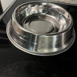 Dog Bowl 