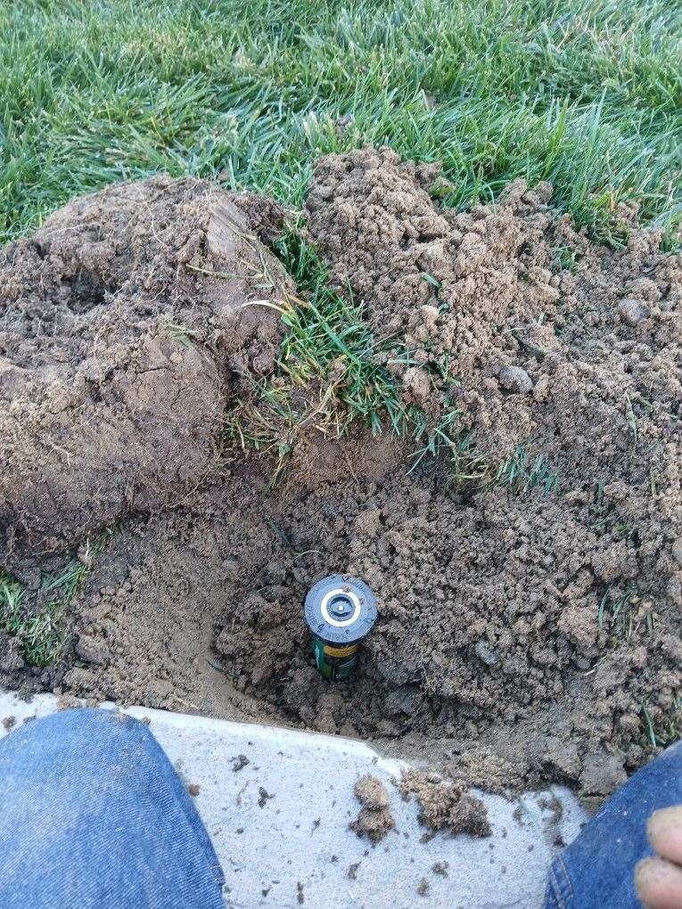 Mulching, Sprinkler, Gutter,clean Up 