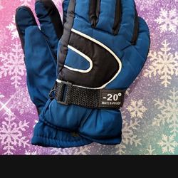 Snow gloves