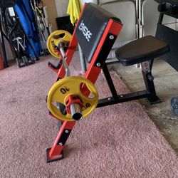 Olympic Arms Curl Bench 