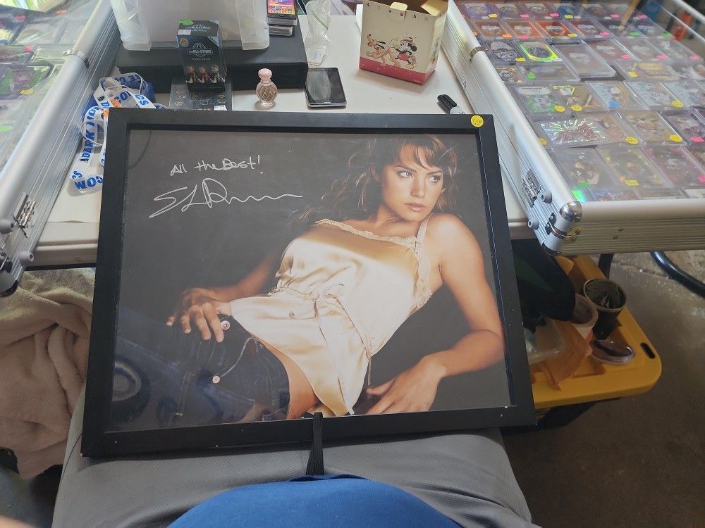 Erica Durance 16x20 Autograph Photo Smallville