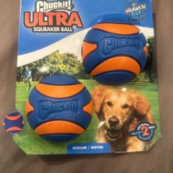 Chunk It ! Squeaker Ball