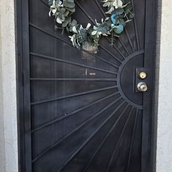 36 x 80 Security Door