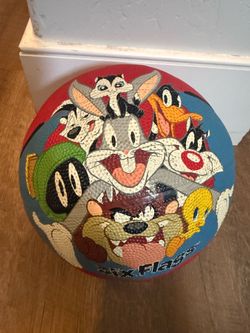 Six flags looney tunes basketball