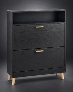 Black Shoe Storage Cabinet with Tilt-Out Drawers