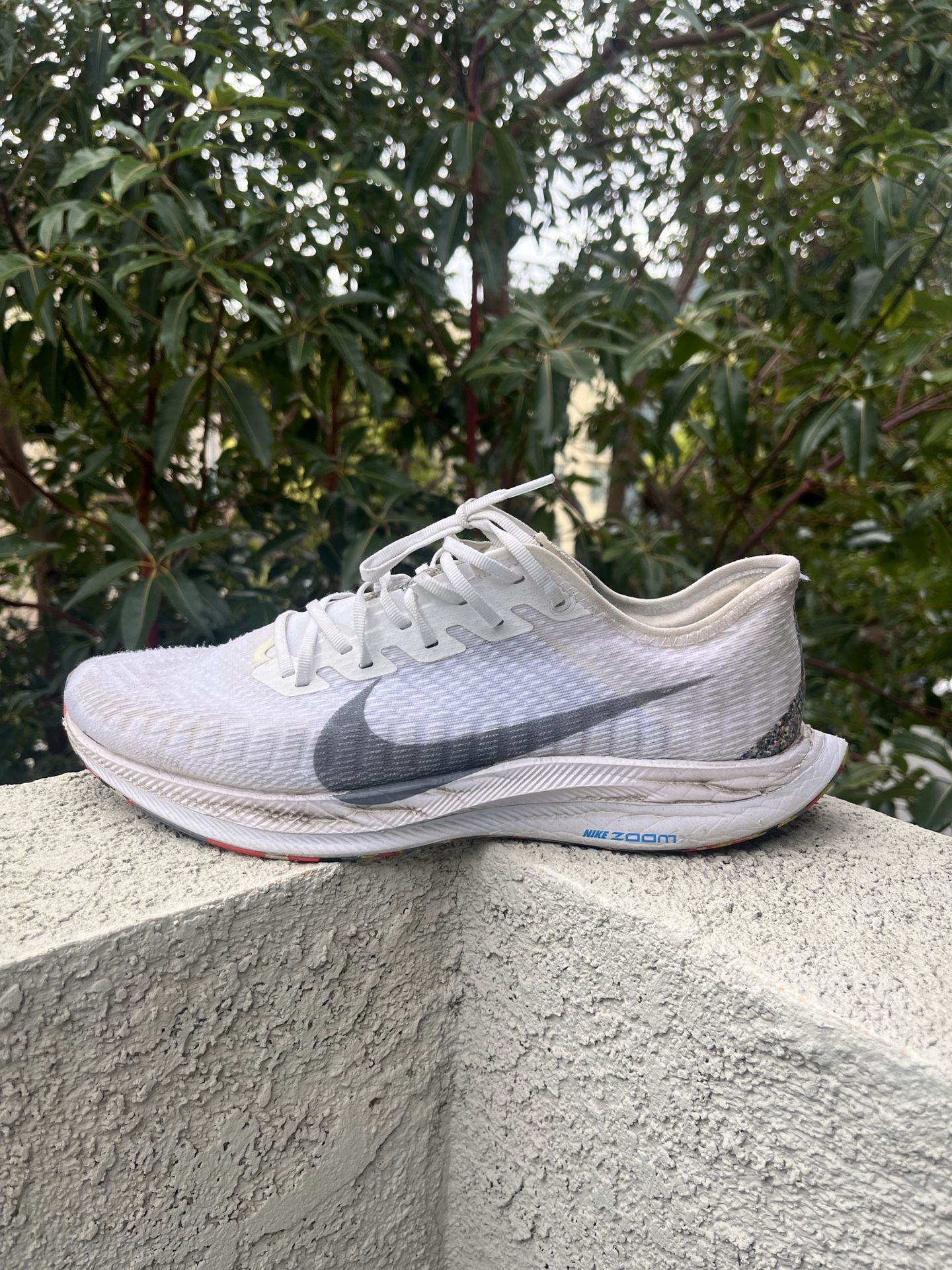 Nike Running Shoe 