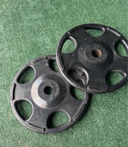 Hampton 45lb Grip Weight Plates
