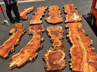 Cotton woods burls slabs