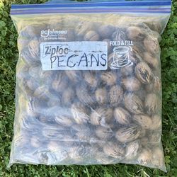 Fresh Pecans-