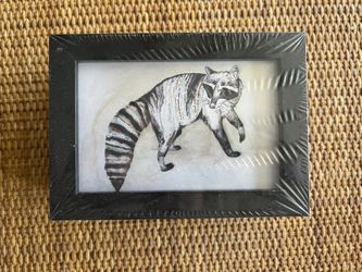 Raccoon Art - One Of A Kind