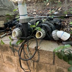 2 Spa pumps. $20