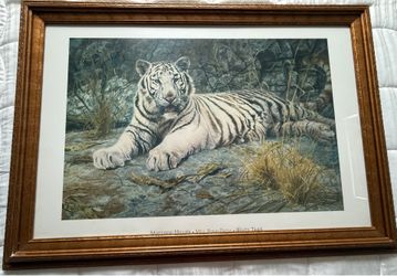 Framed White Tiger Framed Artwork